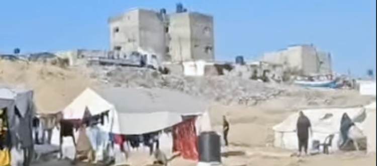 Gaza 2024